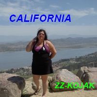 zyzzykojak (Dr Rudol) - CALIFORNIA Cover Art